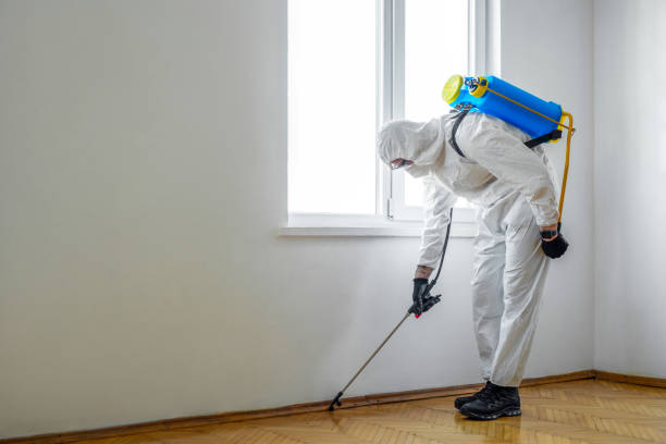 Best Wasp Removal Services  in Pitcairn, PA