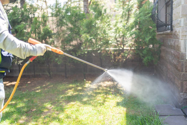Best Flea Control Services  in Pitcairn, PA