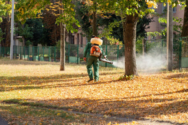 Best Bed Bug Extermination  in Pitcairn, PA