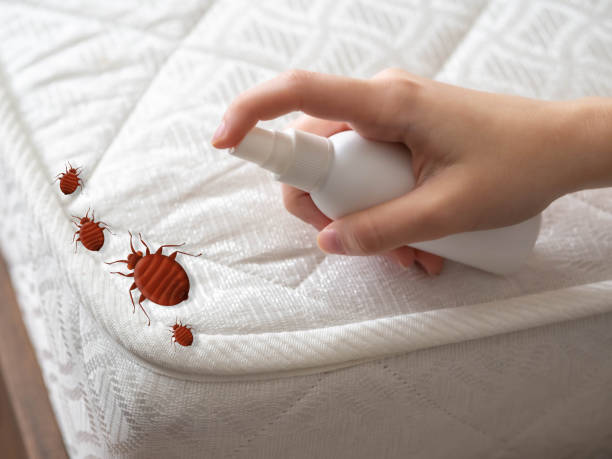 Best Affordable Pest Control Services  in Pitcairn, PA