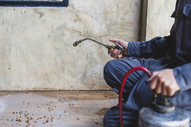Best Pest Control Treatment  in Pitcairn, PA
